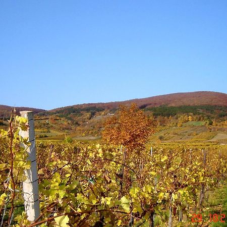 Winzerhotel Gumpoldskirchen Dış mekan fotoğraf