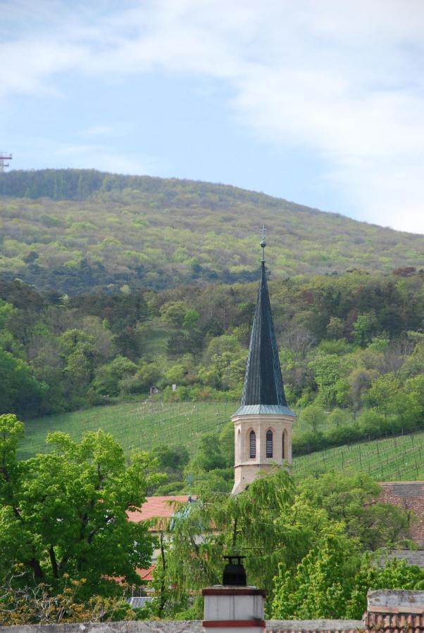 Winzerhotel Gumpoldskirchen Dış mekan fotoğraf